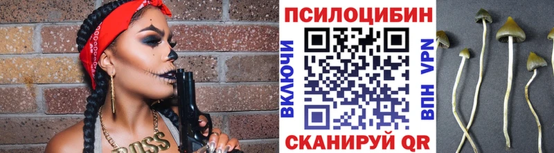 как найти закладки  Рославль  Галлюциногенные грибы Psilocybine cubensis 